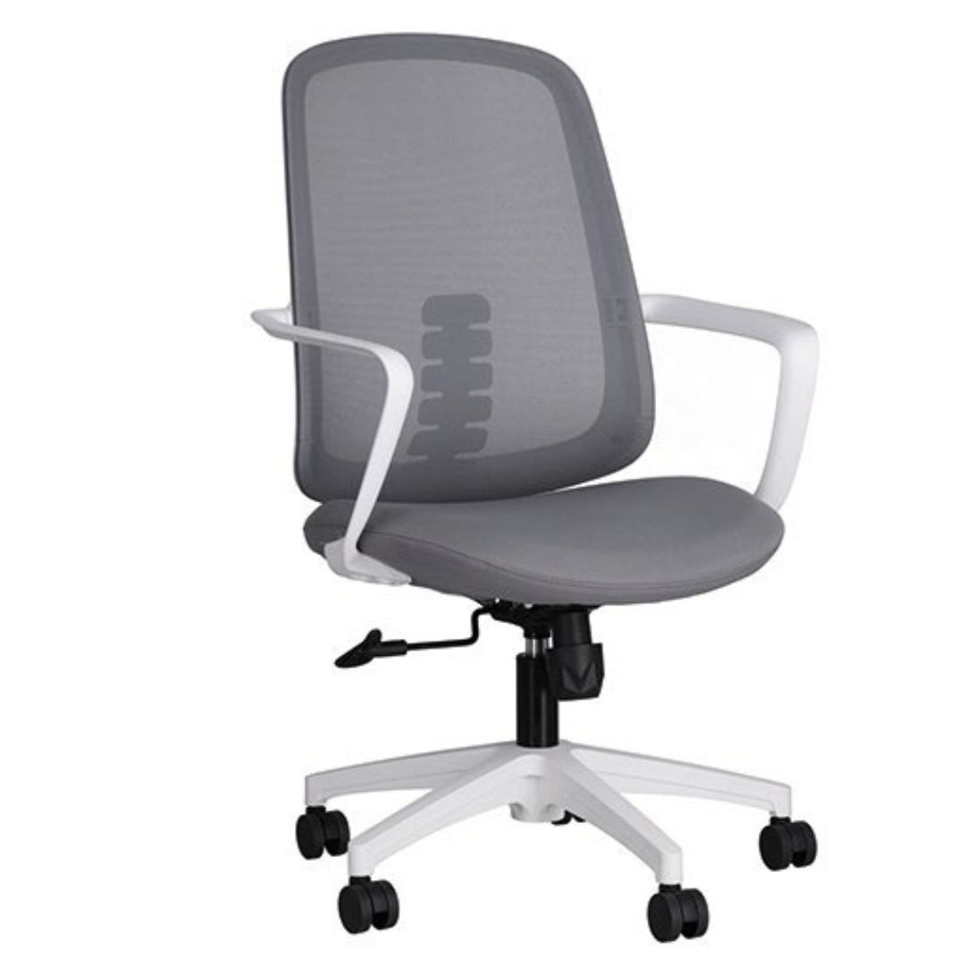 MERCURIO GRIS