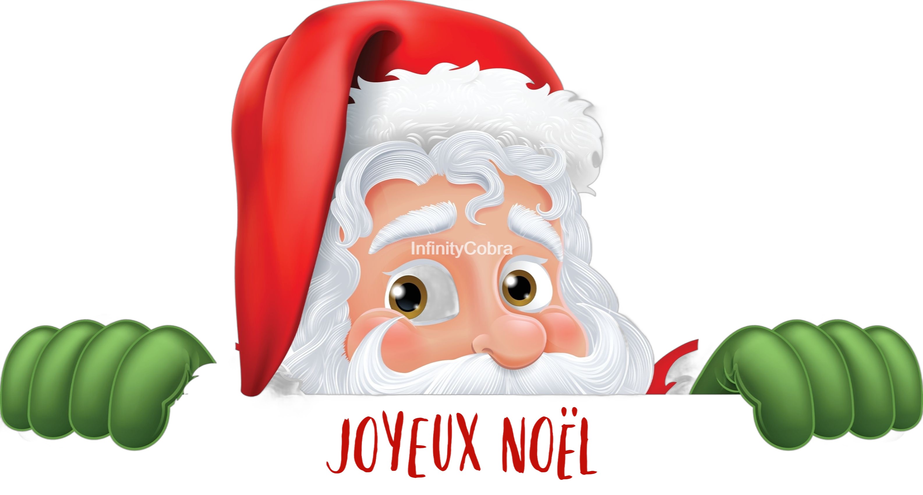 CUSTOMIZABLE/PERSONNALISABLE