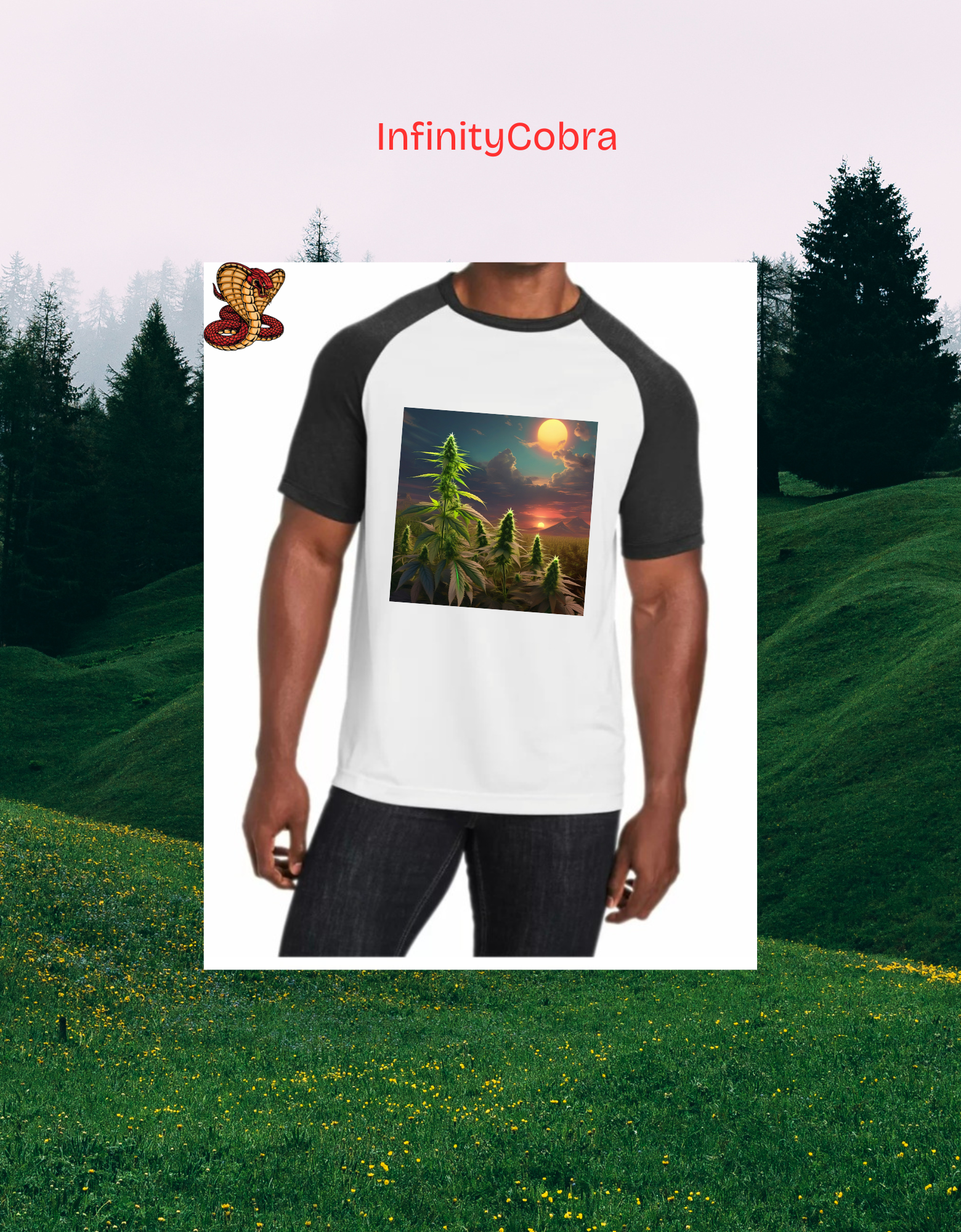 Field of dreams/Champ des rêves 