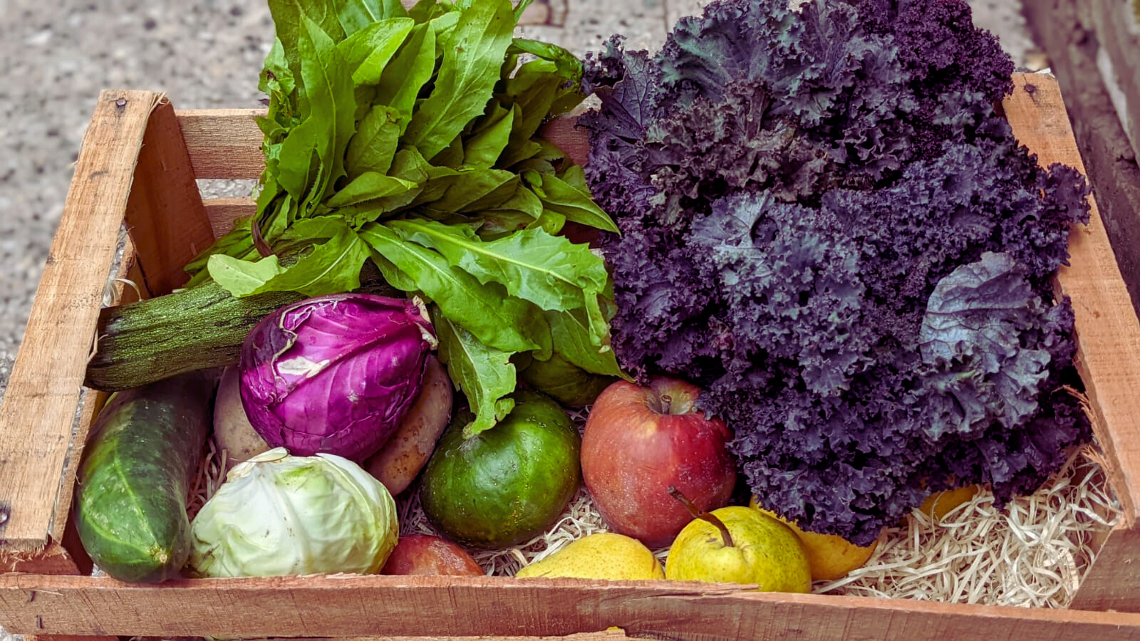 Frutas y Verduras surtida de temporada 9k