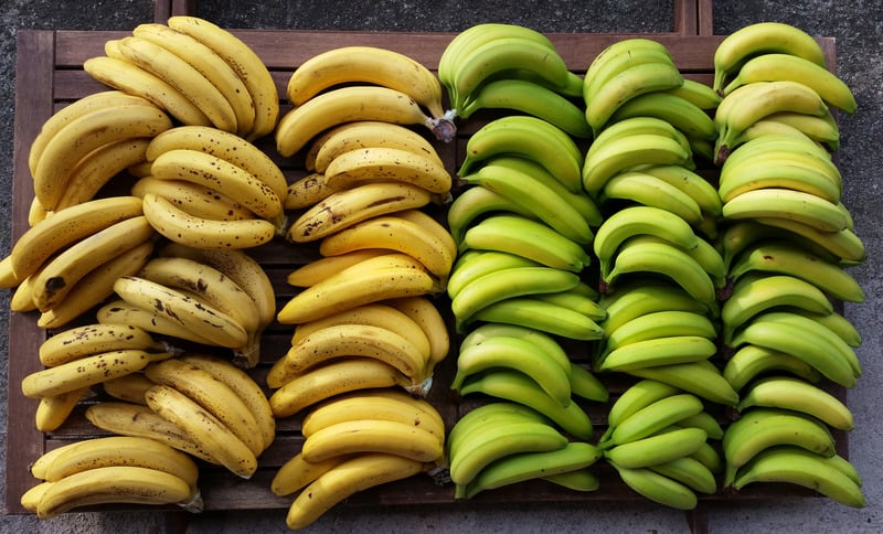 Bananas Cavanish