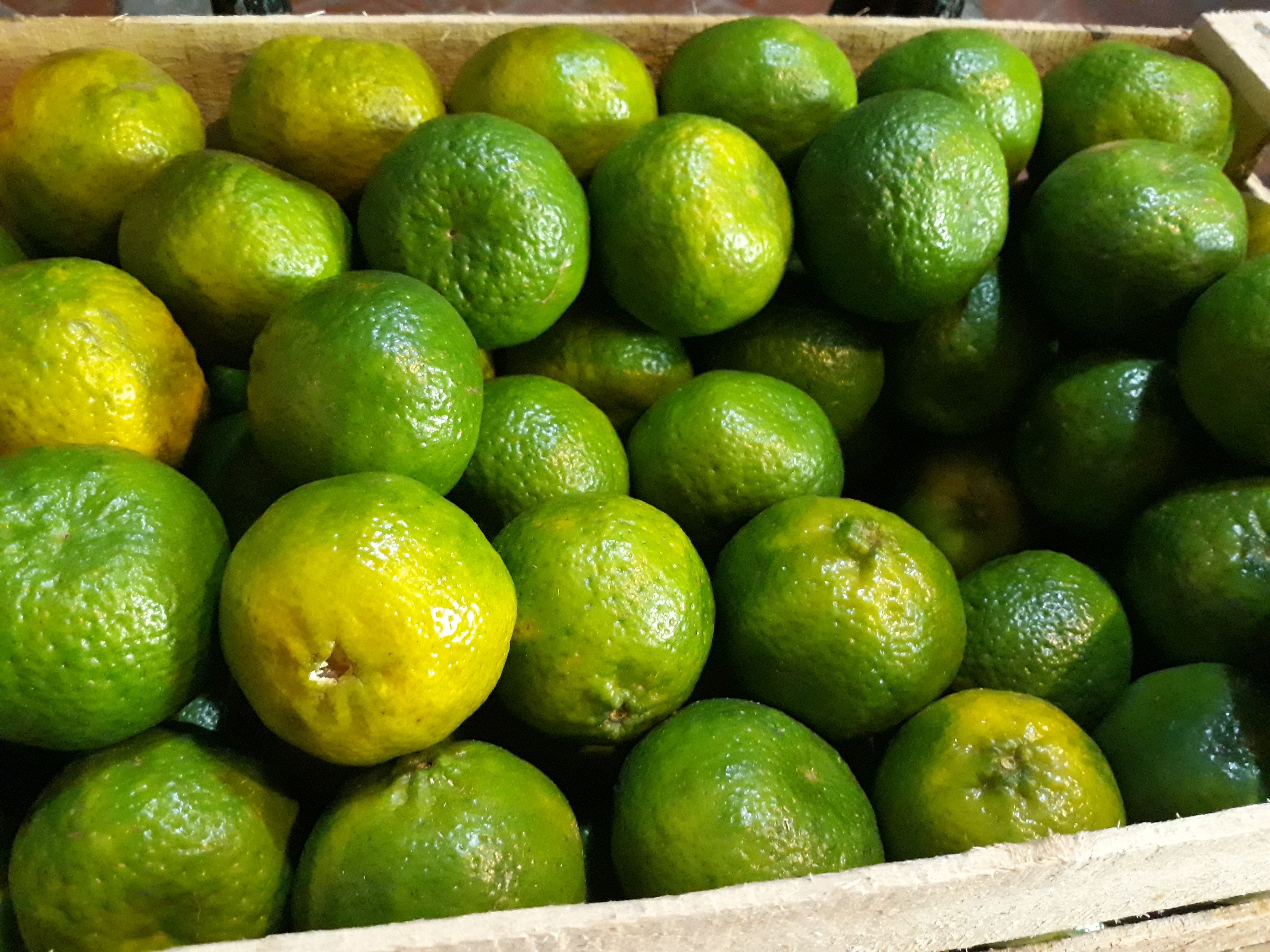 Mandarina 500 g