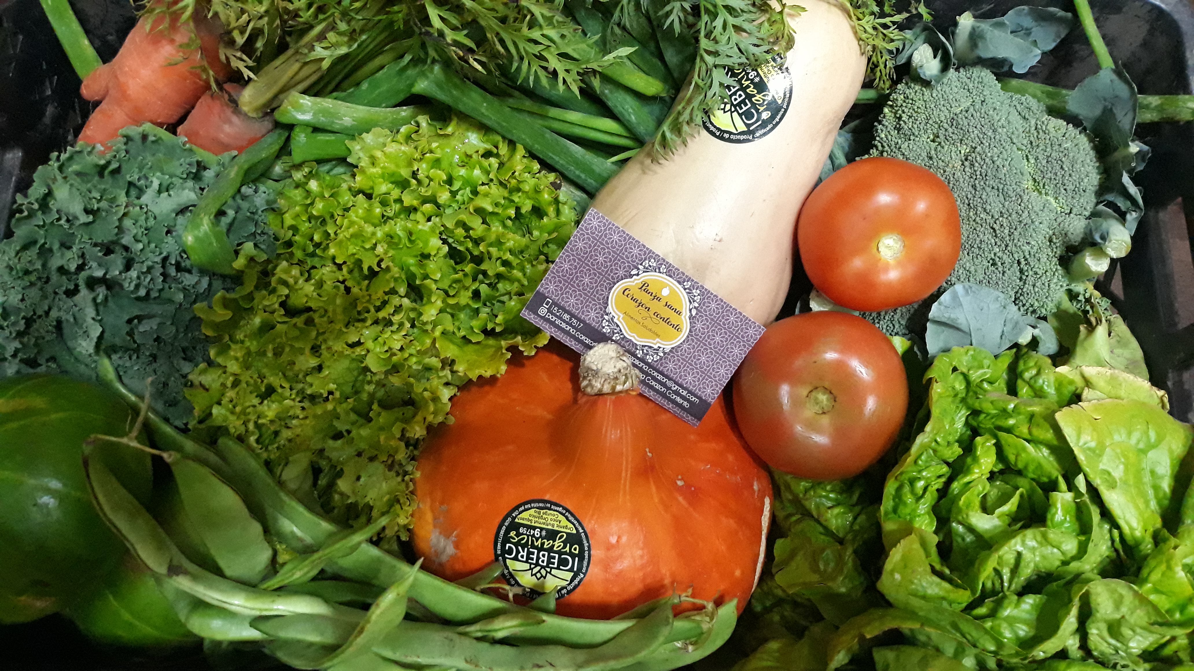 Verduras  surtida 10 KG