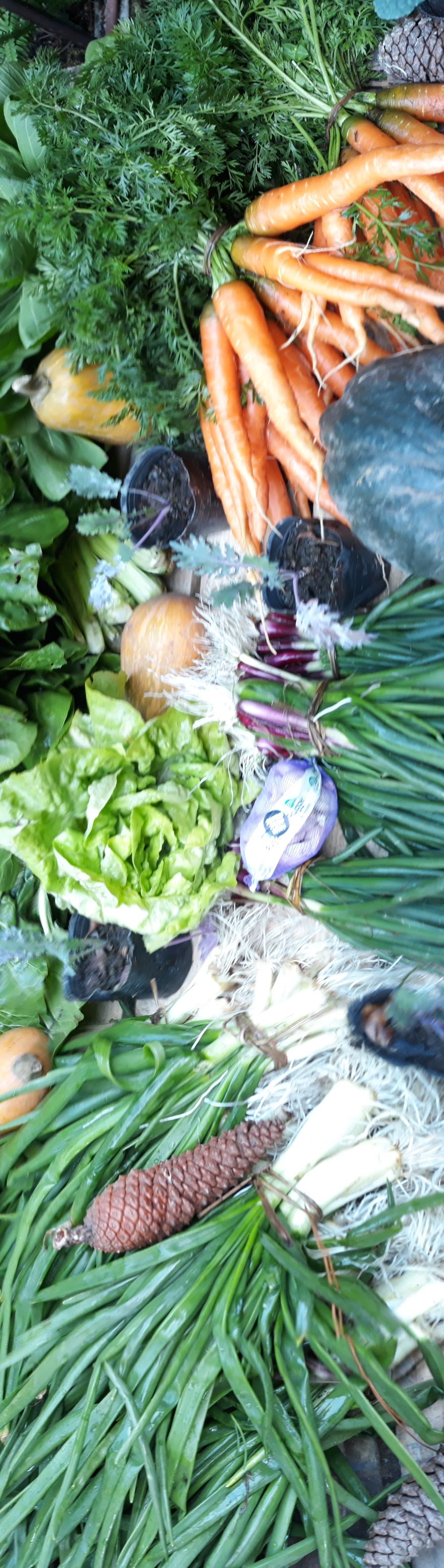 Verduras  surtida 10 KG