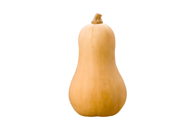 Anco