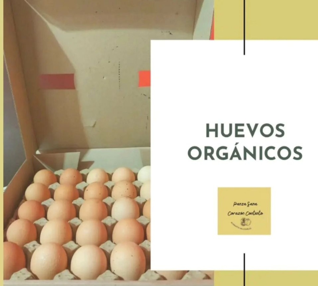 Huevos Orgánicos