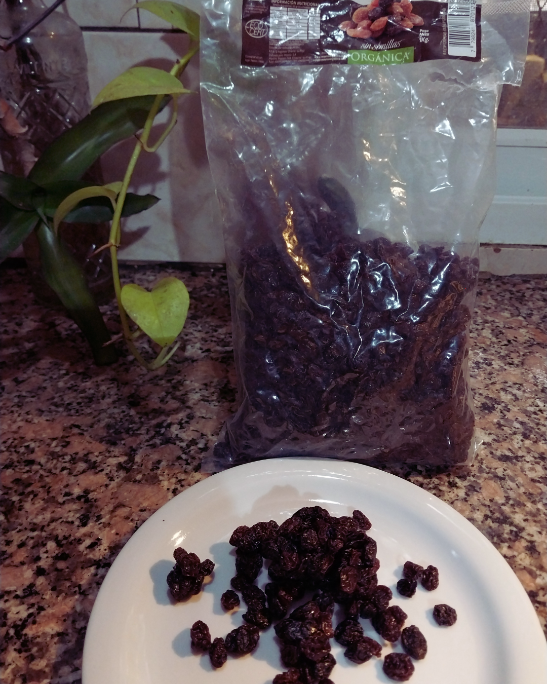Pasas de Uvas 