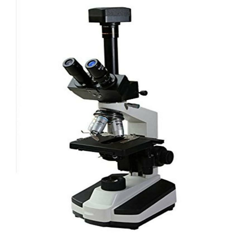 Microscope