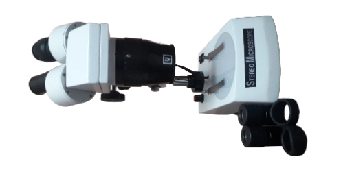 stereo binocular microscope