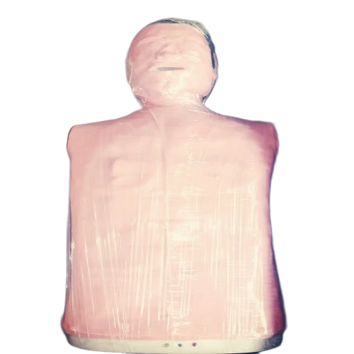 cpr manikin model