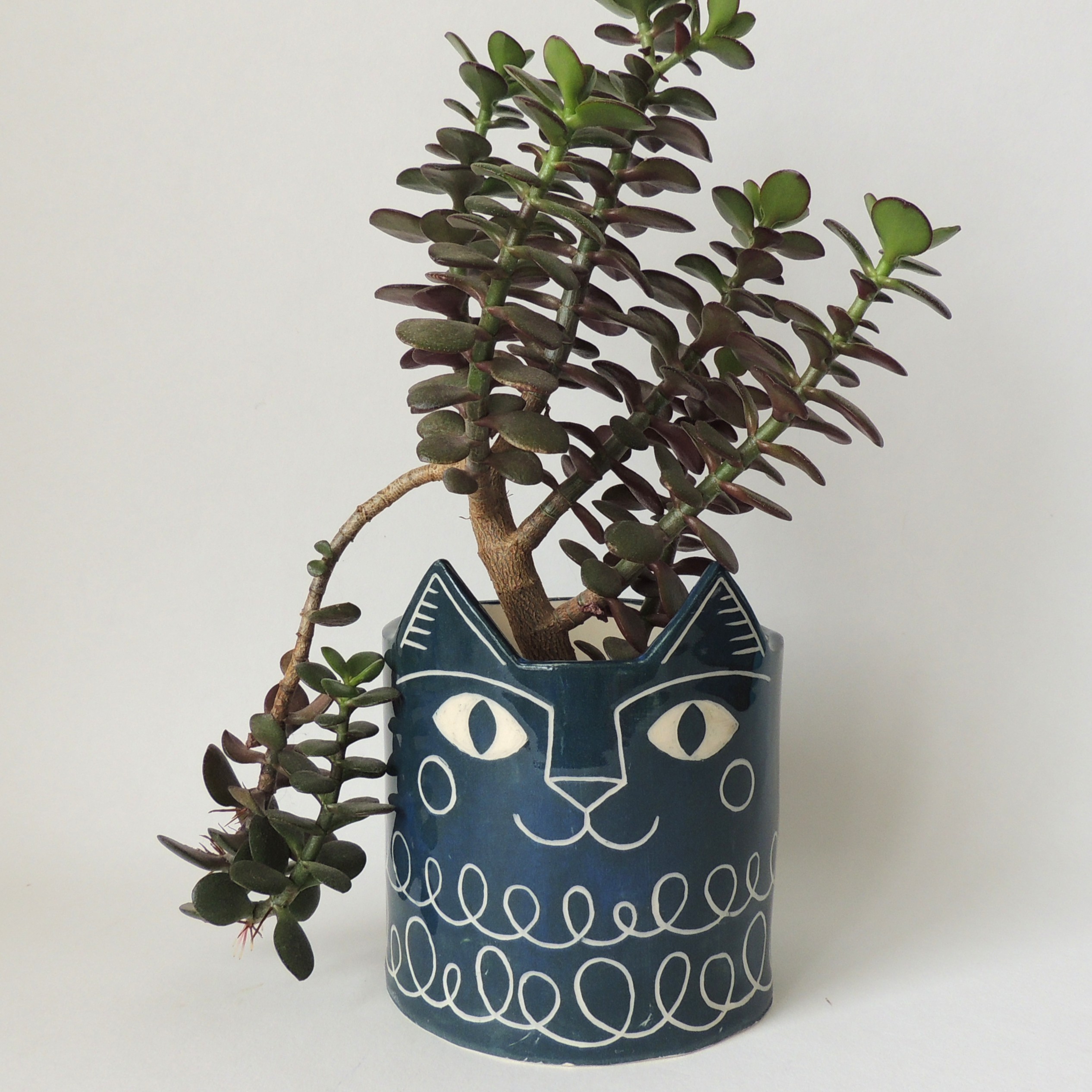 Cat Plant Pot