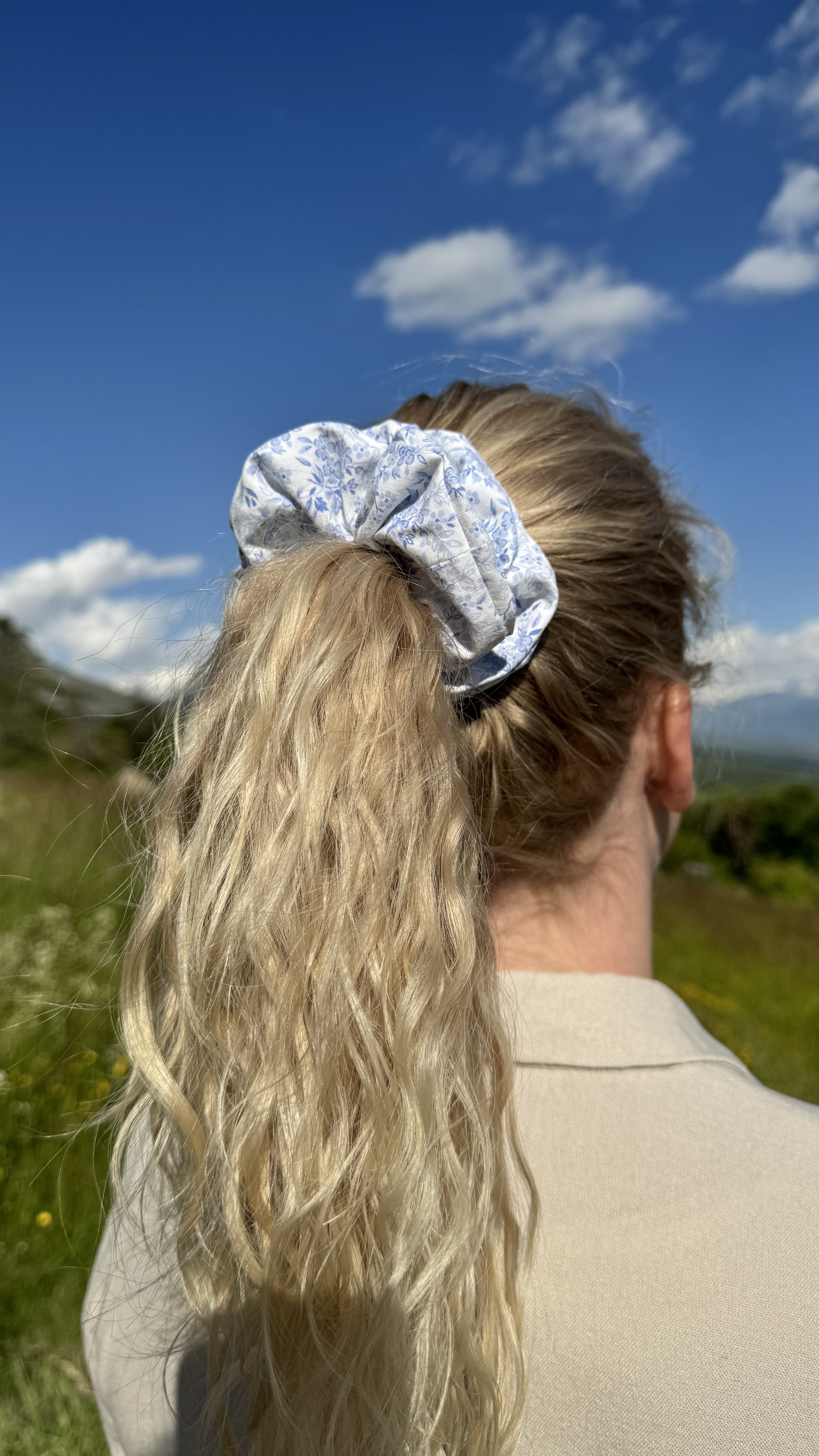 Chouchou - Fleurs bleues