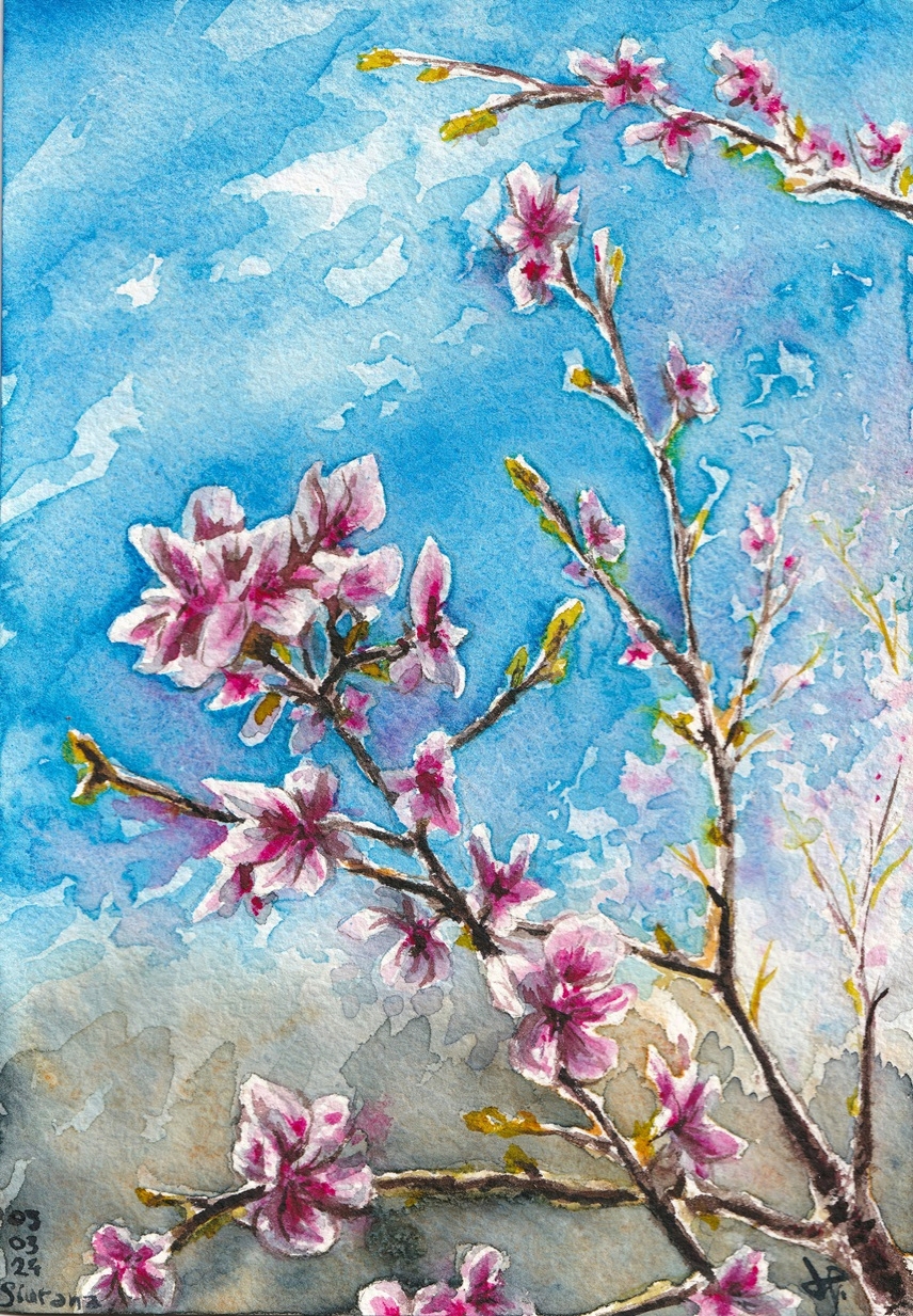 ametller en flor (làmina)