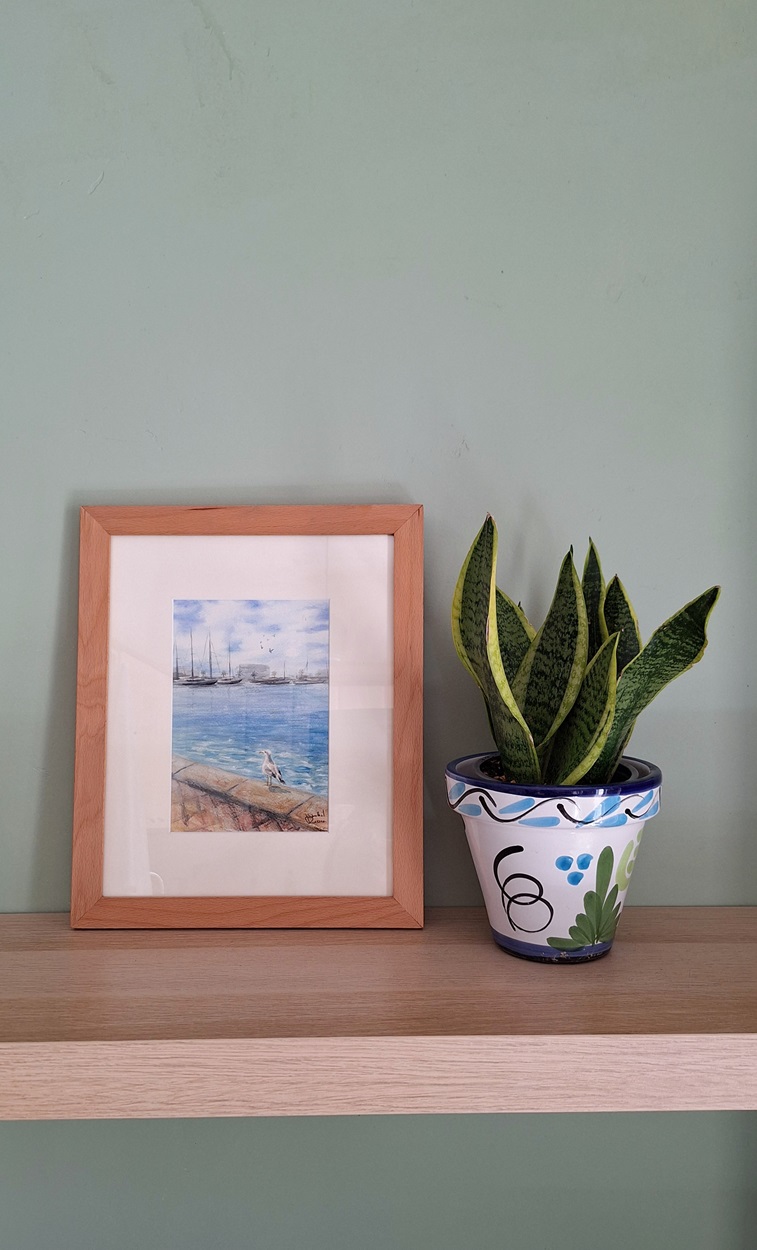 gavina (aquarel·la original)