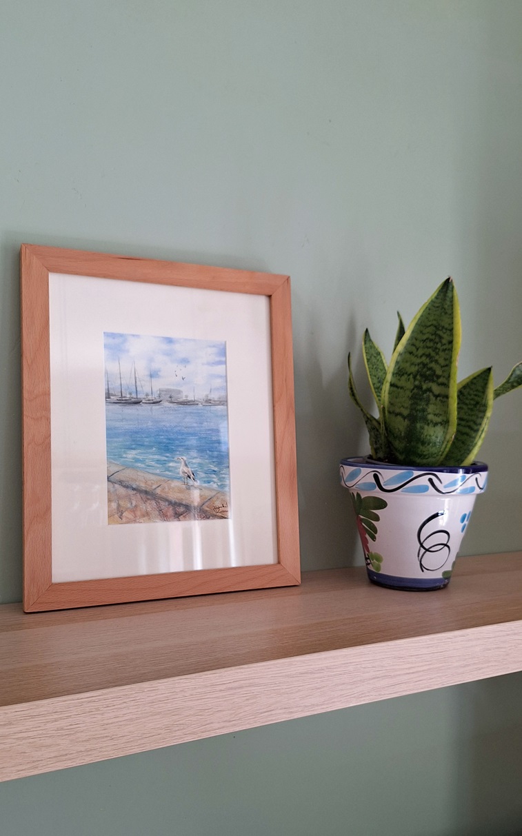 gavina (aquarel·la original)