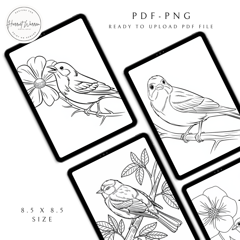  20 Unique Coloring Pages - Ready to Upload 40 page KDP file 