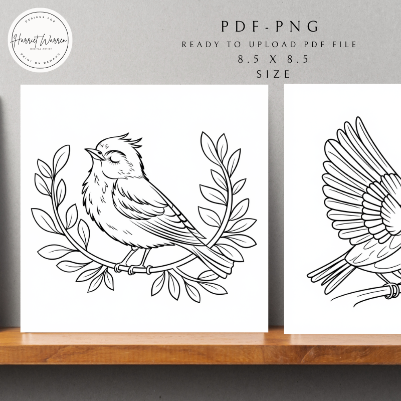  20 Unique Coloring Pages - Ready to Upload 40 page KDP file 