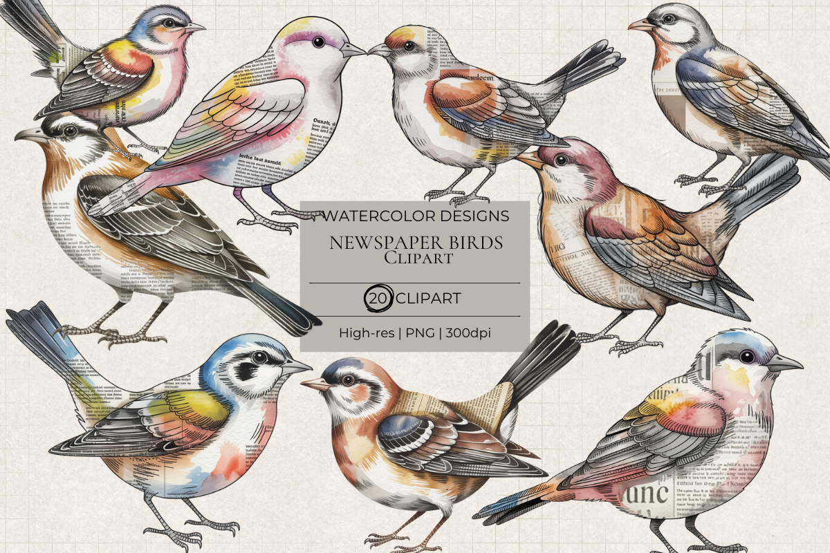 Mixed Media Newspaper Birds – 20 Clip Art PNGs