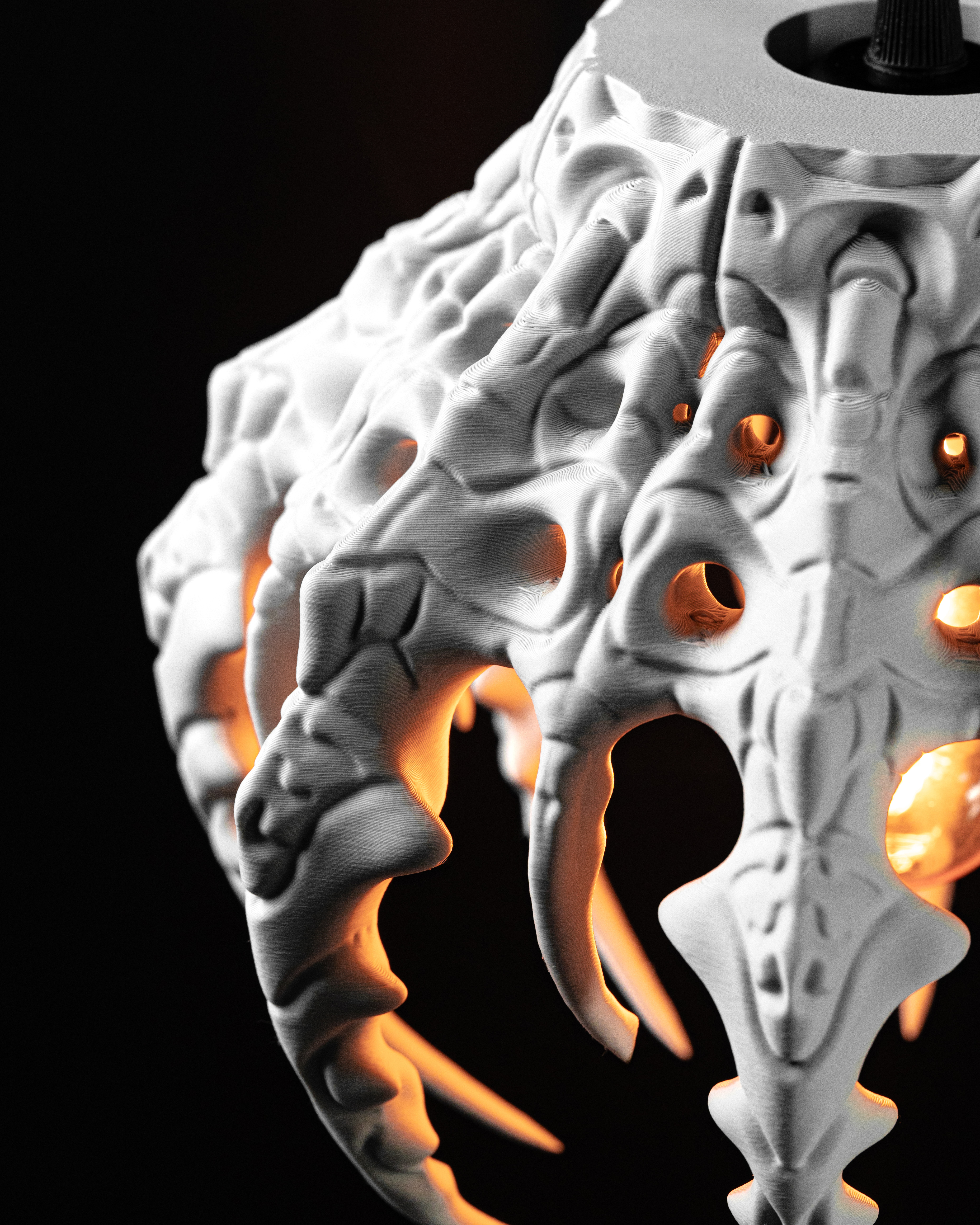 Šviestuvo gaubtas SKELETAL