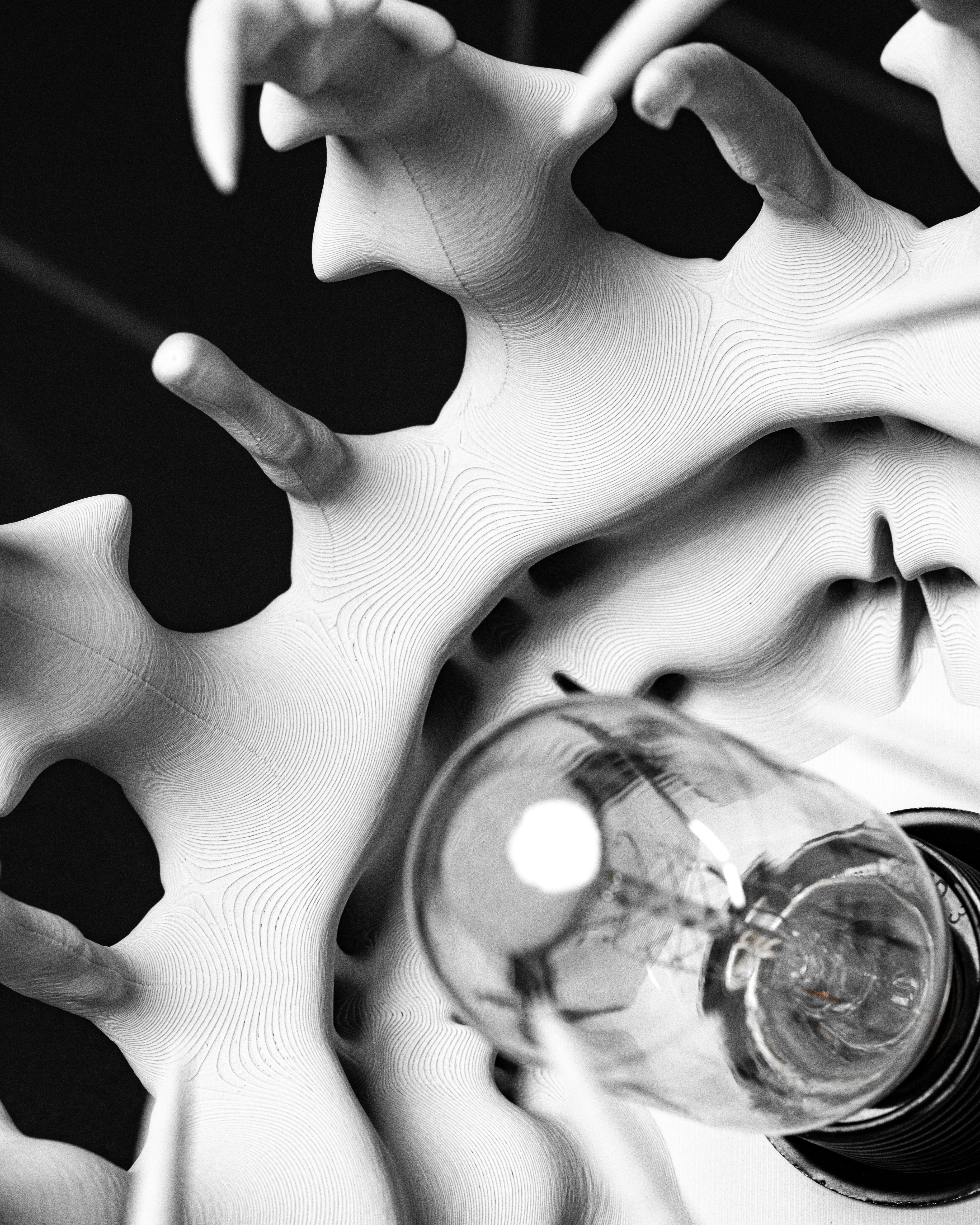 Šviestuvo gaubtas SKELETAL