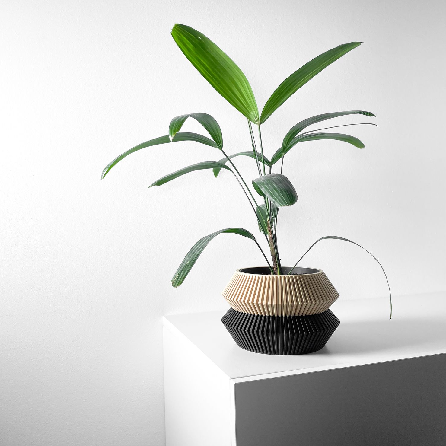 Unikalus Vazonas Wenra – Stilingas ir ekologiškas pasirinkimas jūsų interjerui