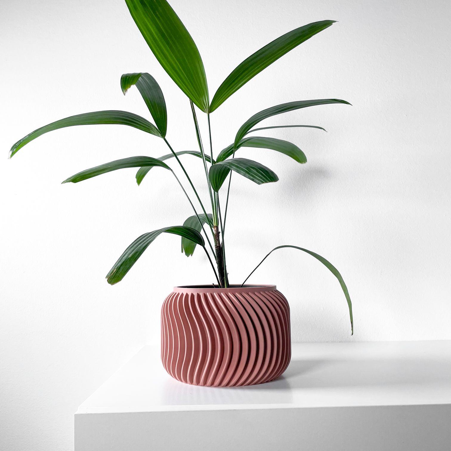 Unikalus Vazonas Vilex – Stilingas ir ekologiškas pasirinkimas jūsų interjerui