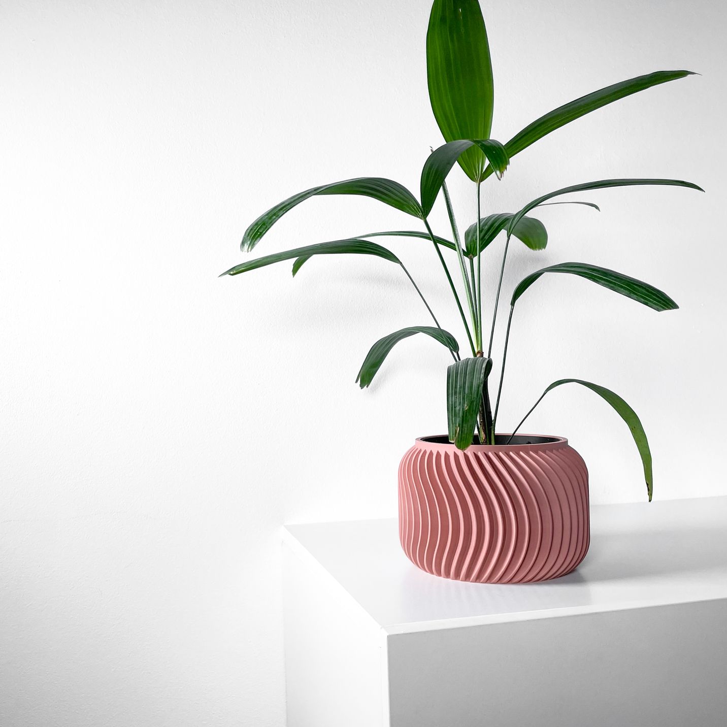 Unikalus Vazonas Vilex – Stilingas ir ekologiškas pasirinkimas jūsų interjerui