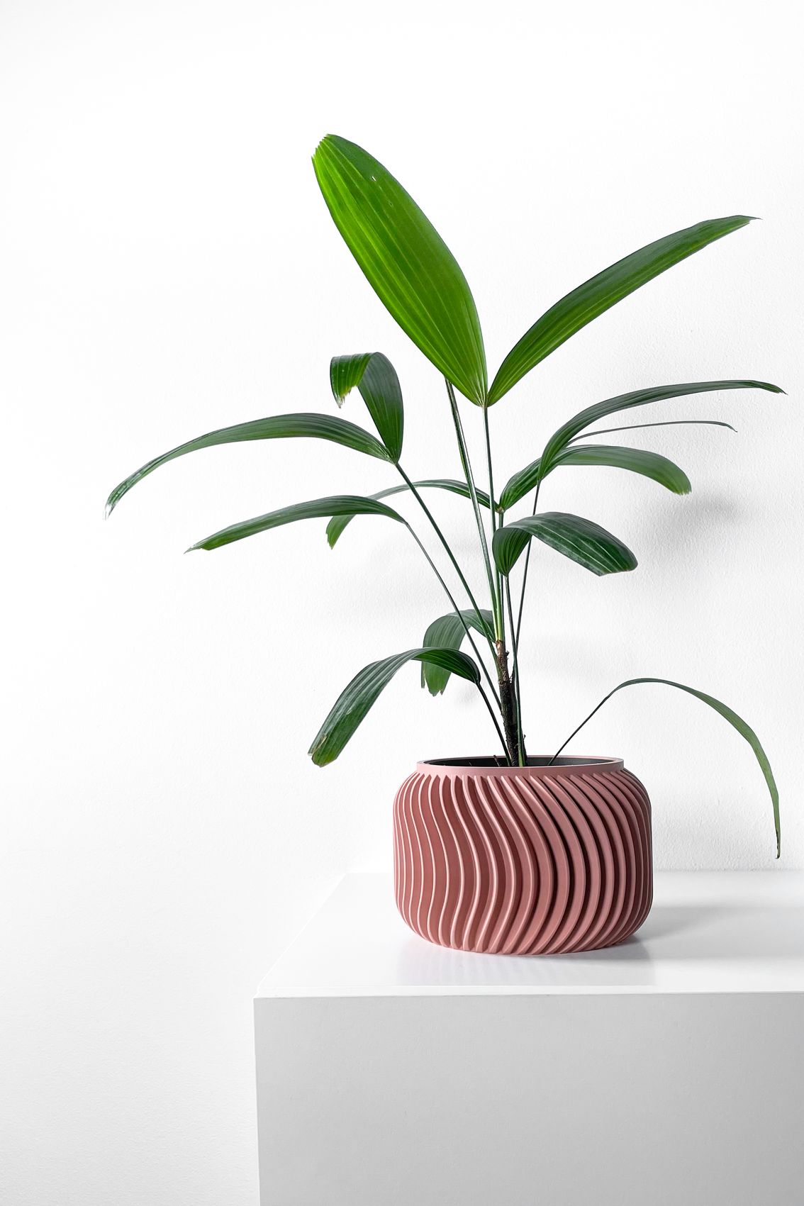 Unikalus Vazonas Vilex – Stilingas ir ekologiškas pasirinkimas jūsų interjerui