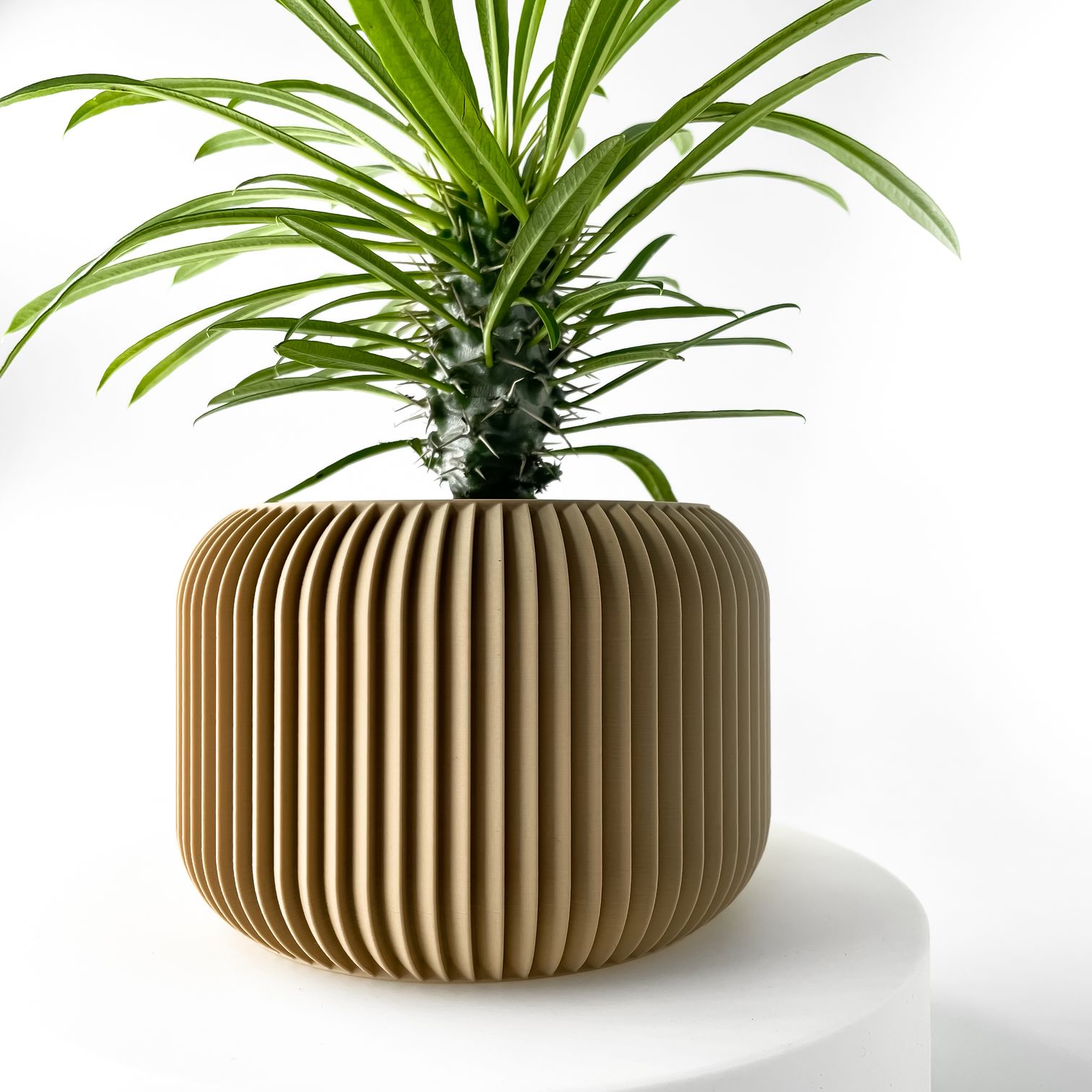 Unikalus Vazonas Unis – Stilingas ir ekologiškas pasirinkimas jūsų interjerui