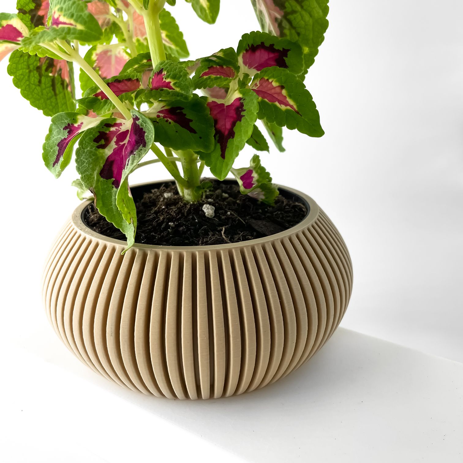 Unikalus Vazonas Torme – Stilingas ir ekologiškas pasirinkimas jūsų interjerui