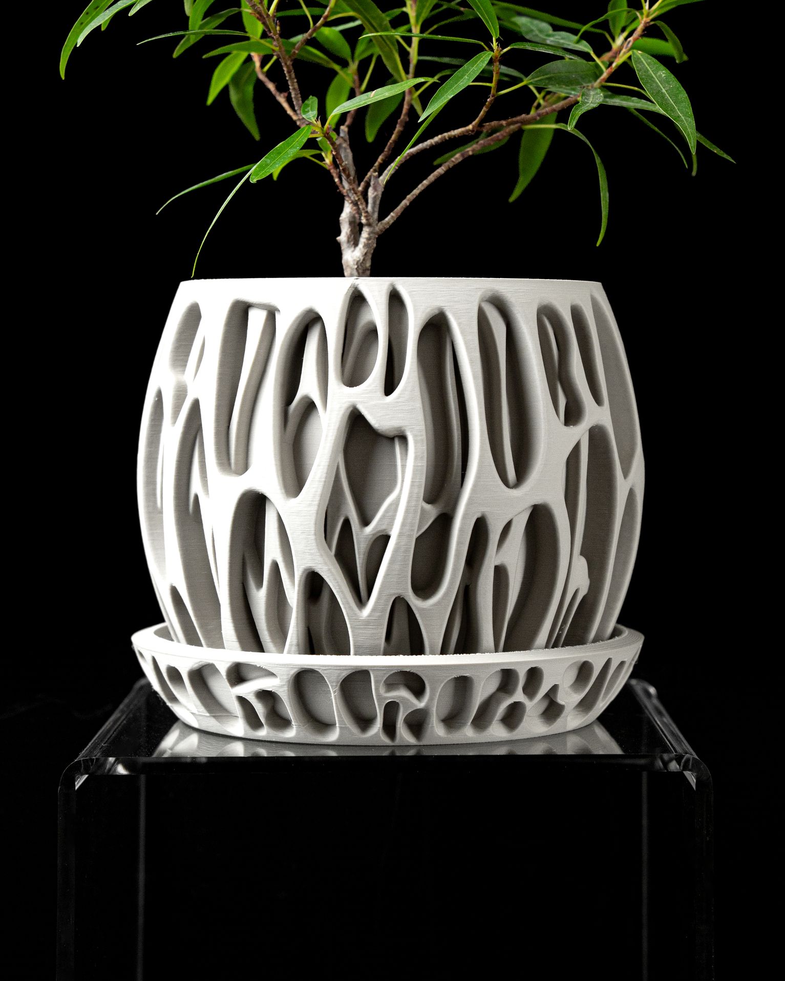 Unikalus Vazonas Slime – Stilingas ir ekologiškas pasirinkimas jūsų interjerui