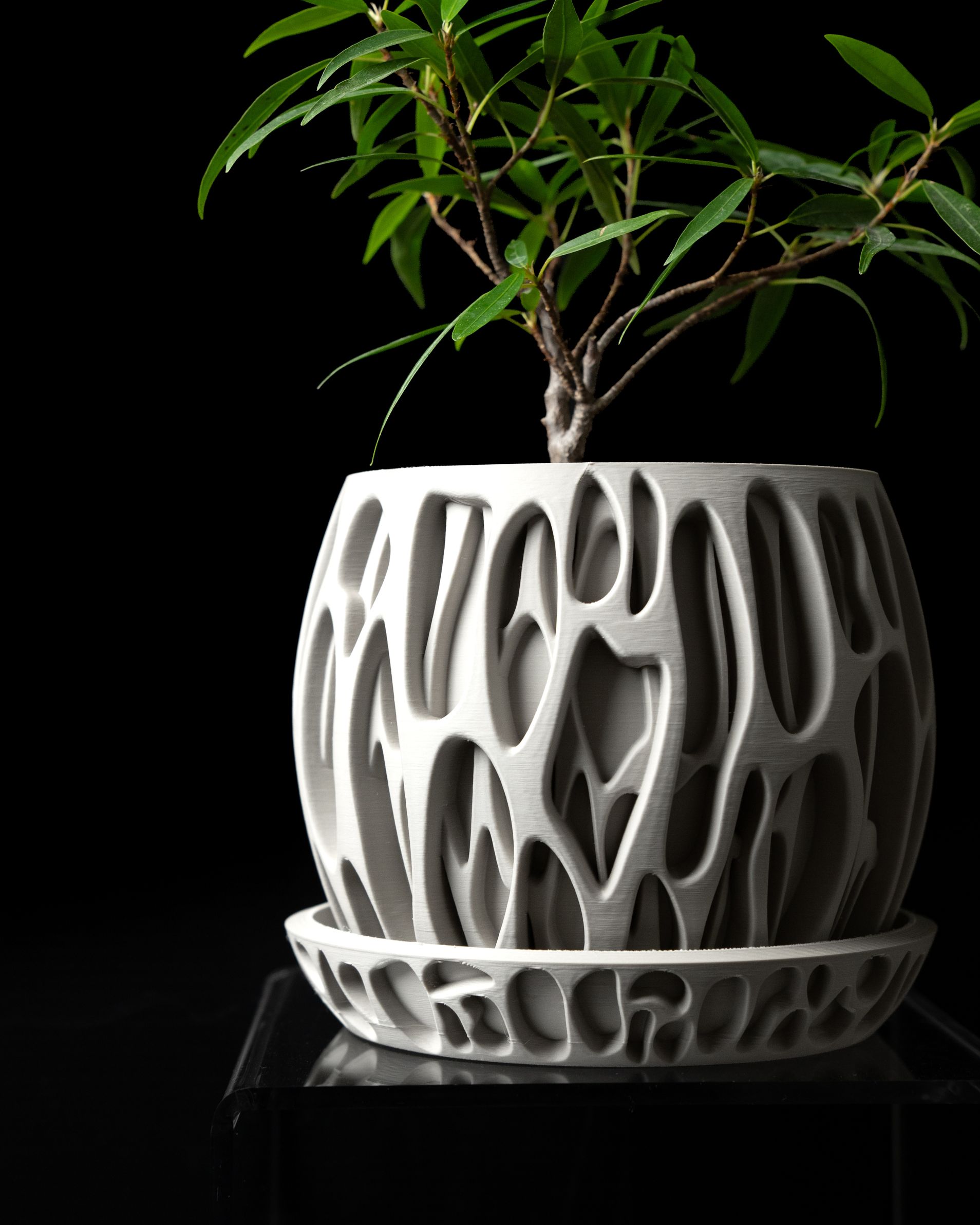 Unikalus Vazonas Slime – Stilingas ir ekologiškas pasirinkimas jūsų interjerui