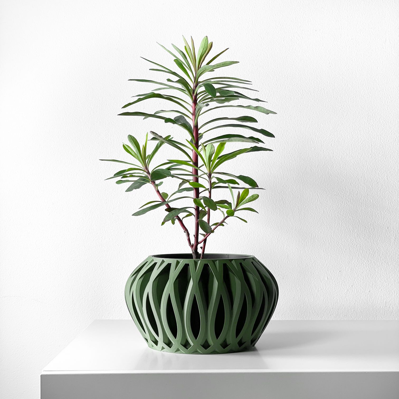 Unikalus Vazonas Serik – Stilingas ir ekologiškas pasirinkimas jūsų interjerui