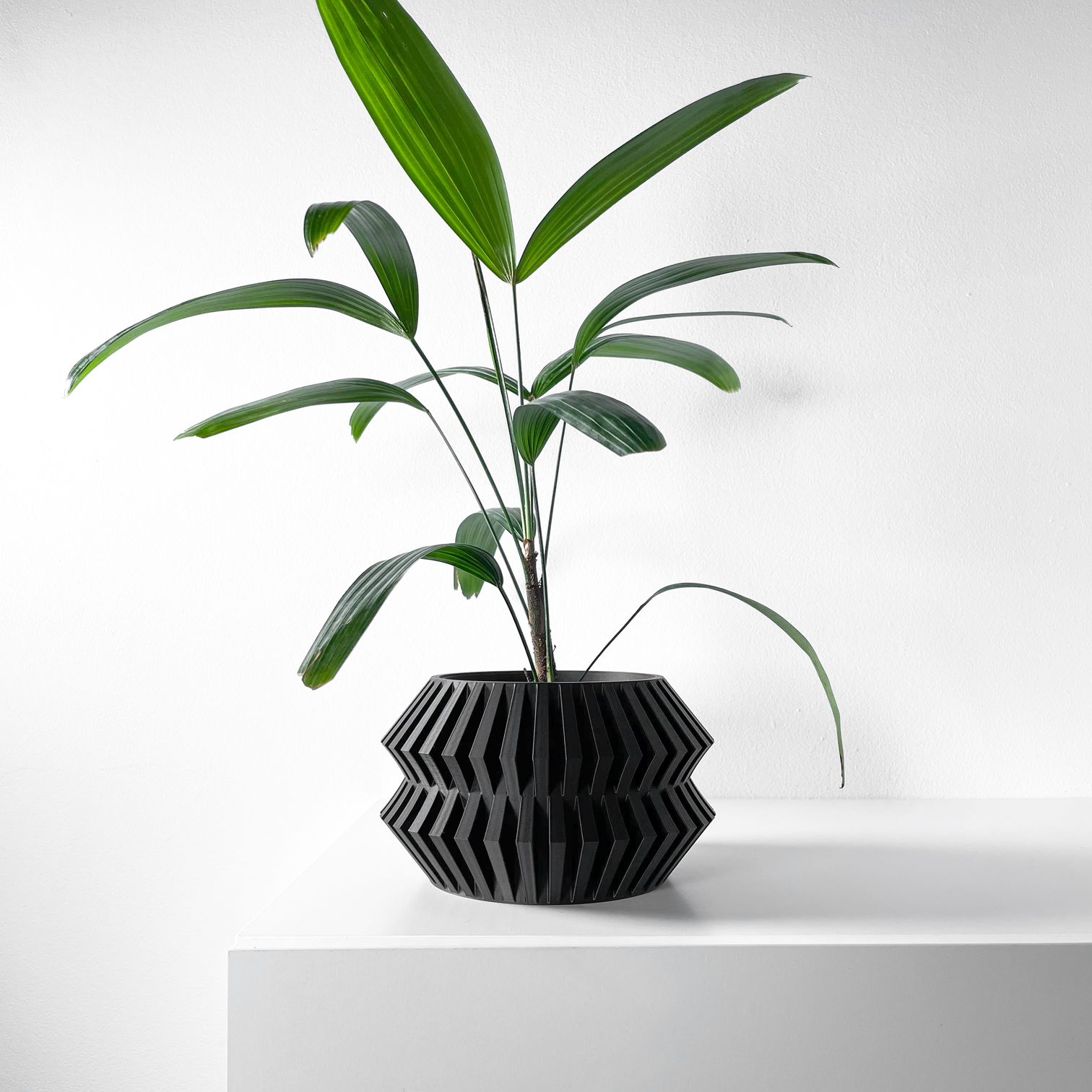 Unikalus Vazonas Risae – Stilingas ir ekologiškas pasirinkimas jūsų interjerui