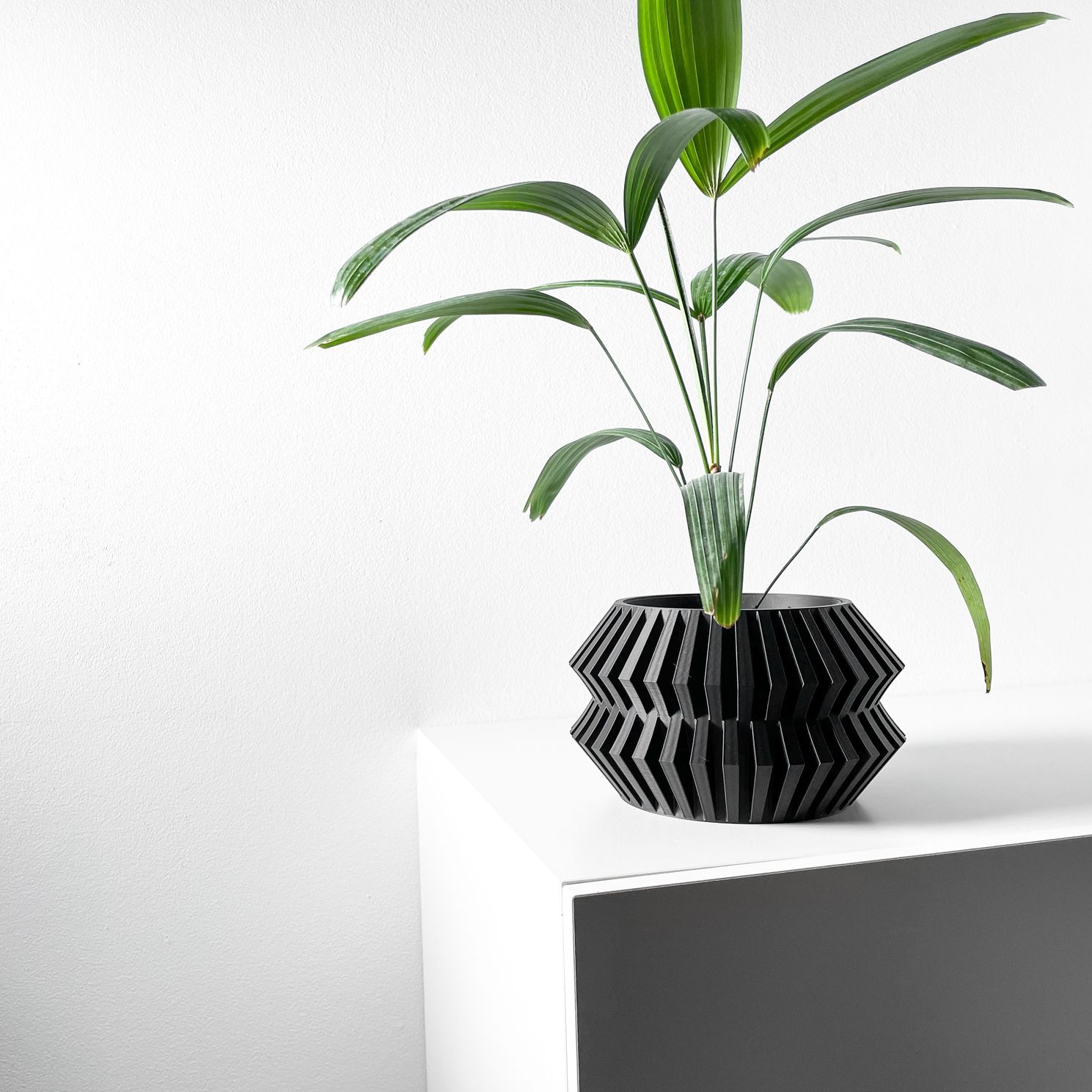 Unikalus Vazonas Risae – Stilingas ir ekologiškas pasirinkimas jūsų interjerui