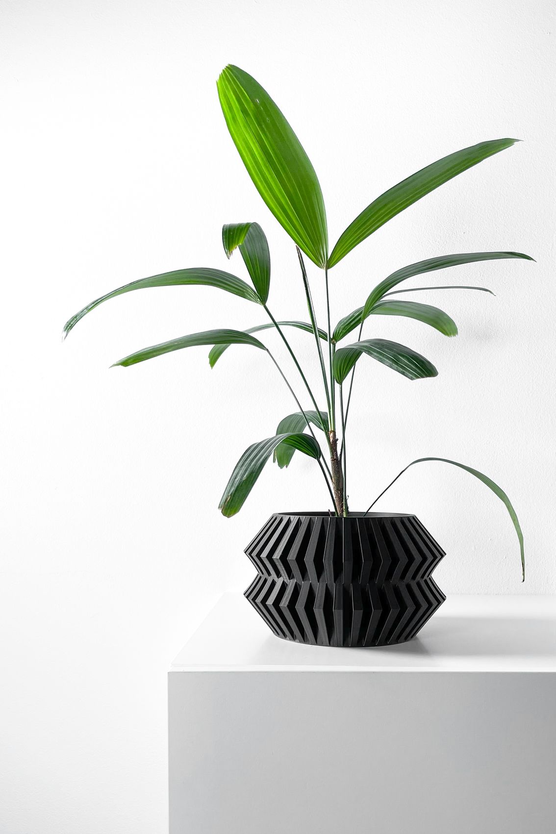 Unikalus Vazonas Risae – Stilingas ir ekologiškas pasirinkimas jūsų interjerui