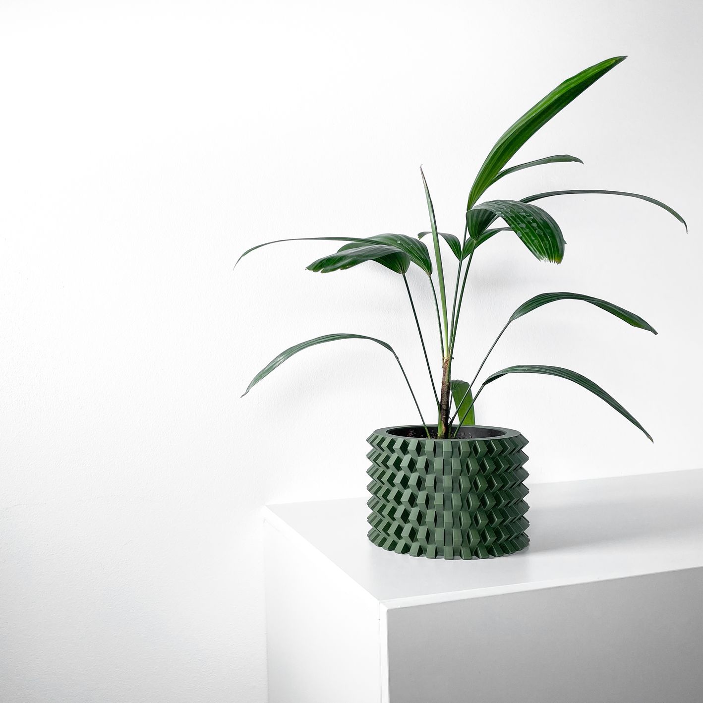 Unikalus Vazonas Rilvo – Stilingas ir ekologiškas pasirinkimas jūsų interjerui