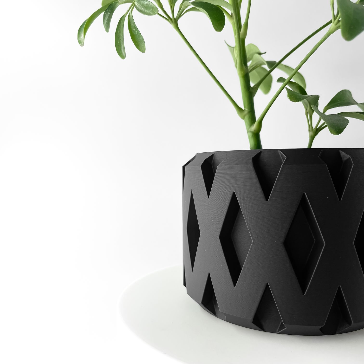 Unikalus Vazonas Rano – Stilingas ir ekologiškas pasirinkimas jūsų interjerui