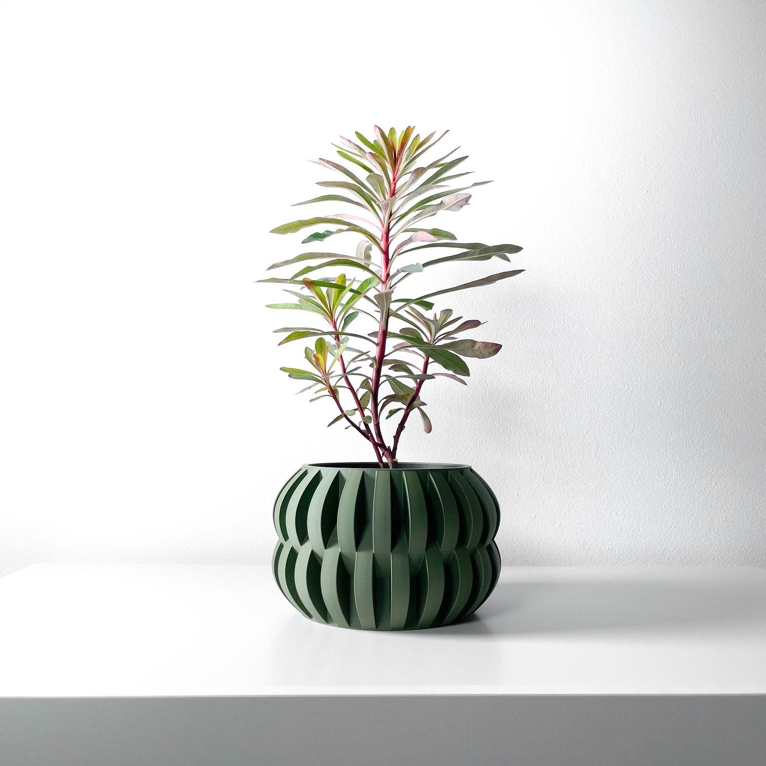 Unikalus Vazonas Povan – Stilingas ir ekologiškas pasirinkimas jūsų interjerui