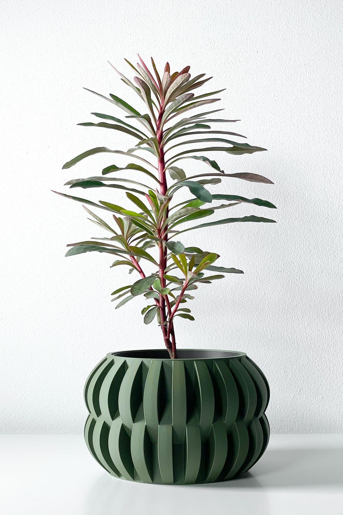 Unikalus Vazonas Povan – Stilingas ir ekologiškas pasirinkimas jūsų interjerui