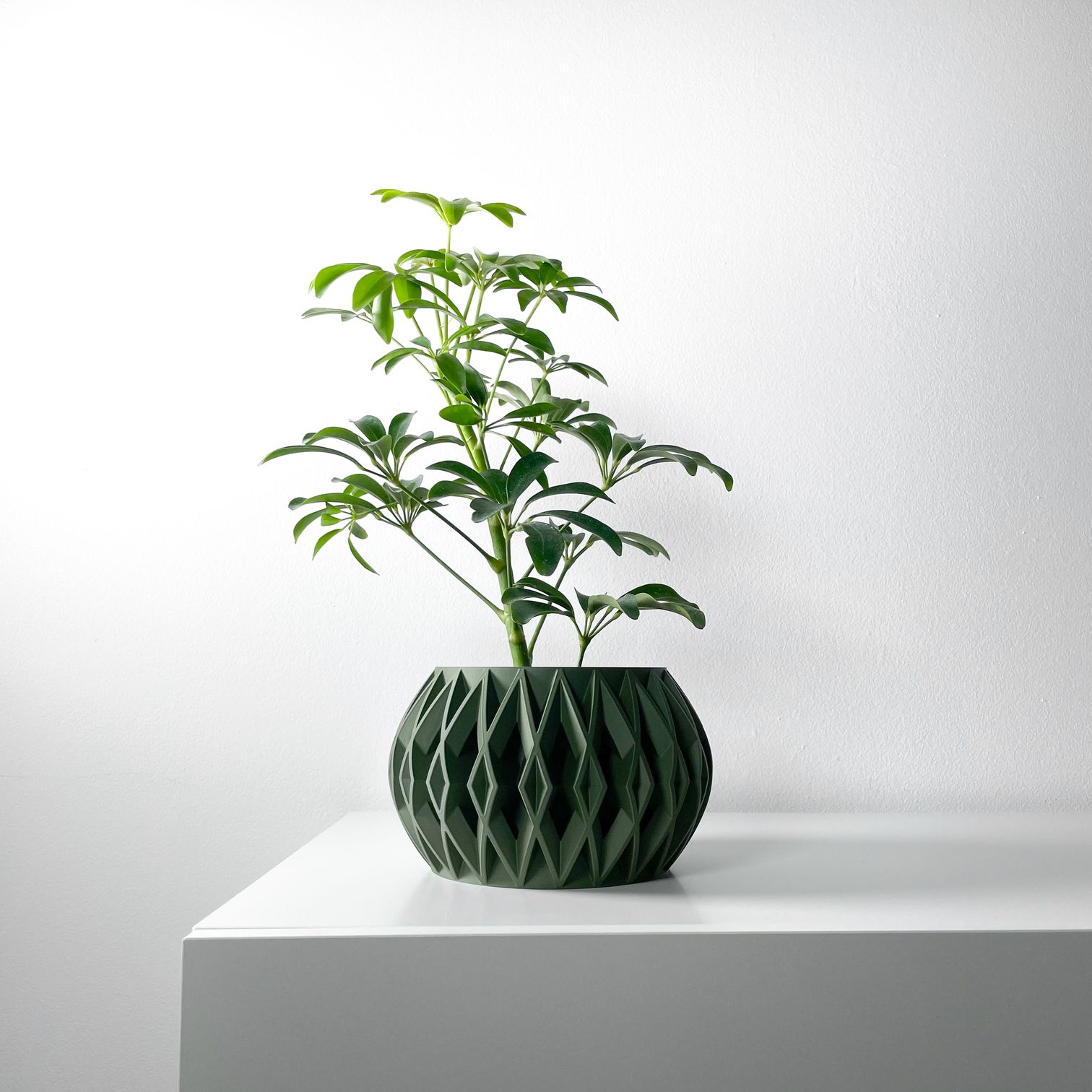 Unikalus Vazonas Orik – Stilingas ir ekologiškas pasirinkimas jūsų interjerui