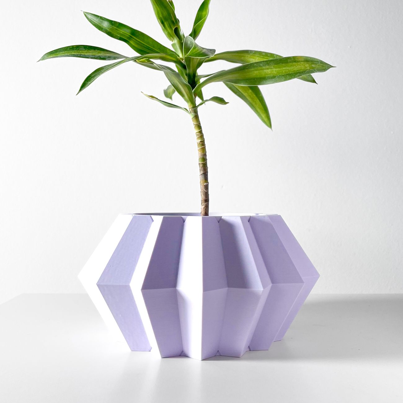 Unikalus Vazonas Jun – Stilingas ir ekologiškas pasirinkimas jūsų interjerui