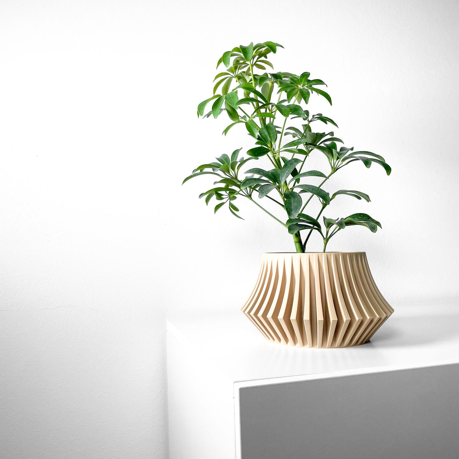 Unikalus Vazonas Jasen – Stilingas ir ekologiškas pasirinkimas jūsų interjerui