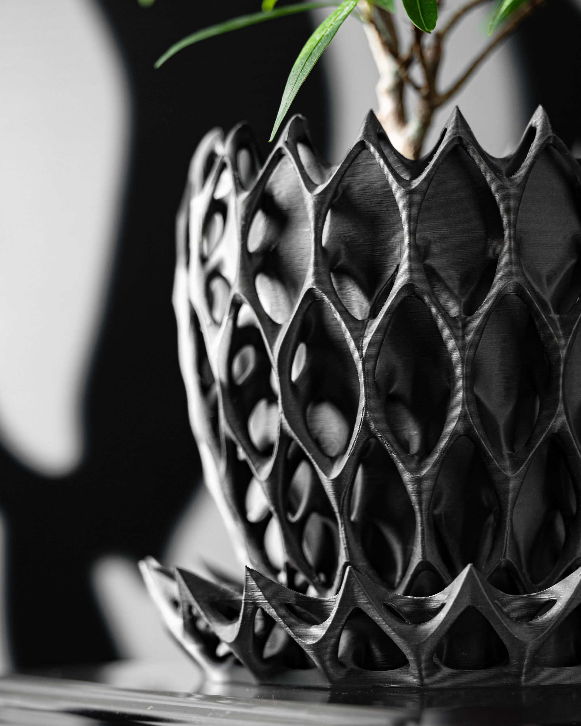 Unikalus Vazonas Invader – Stilingas ir ekologiškas pasirinkimas jūsų interjerui