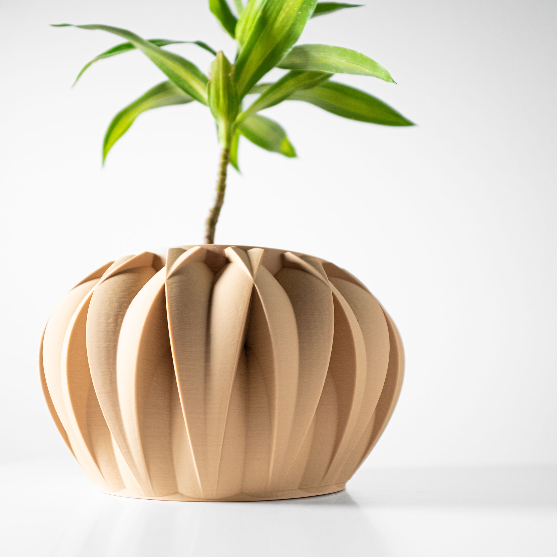 Unikalus Vazonas Halden – Stilingas ir ekologiškas pasirinkimas jūsų interjerui