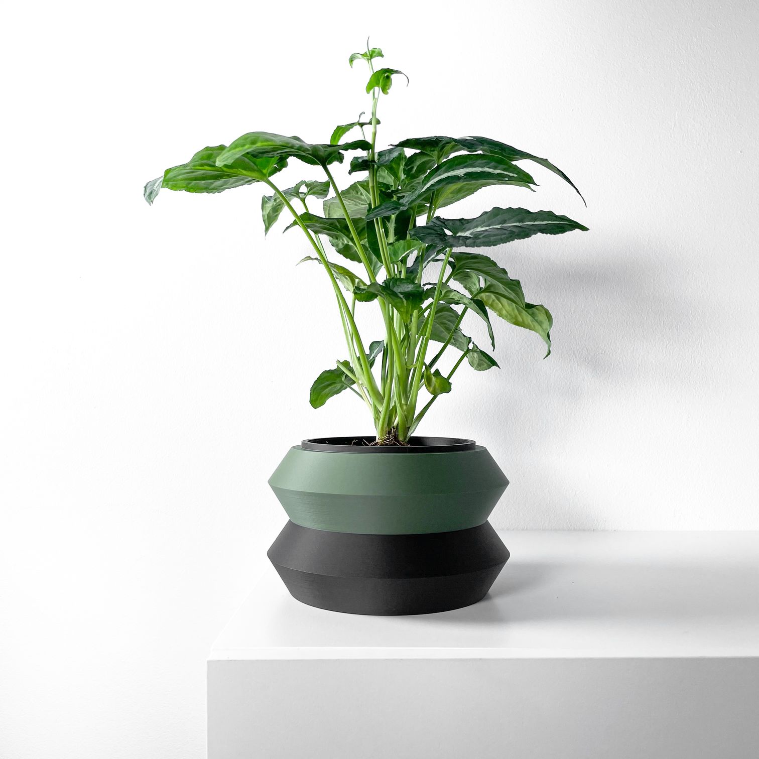 Unikalus Vazonas Grafel – Stilingas ir ekologiškas pasirinkimas jūsų interjerui