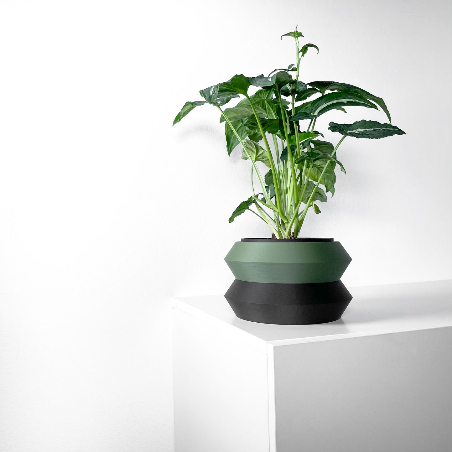 Unikalus Vazonas Grafel – Stilingas ir ekologiškas pasirinkimas jūsų interjerui