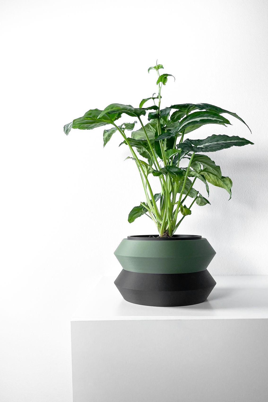 Unikalus Vazonas Grafel – Stilingas ir ekologiškas pasirinkimas jūsų interjerui