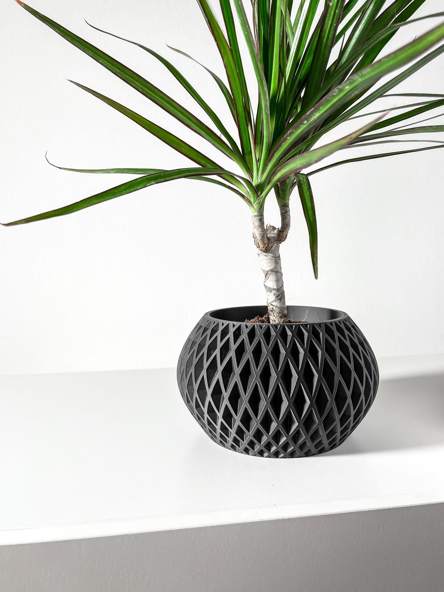 Unikalus Vazonas Gisar – Stilingas ir ekologiškas pasirinkimas jūsų interjerui