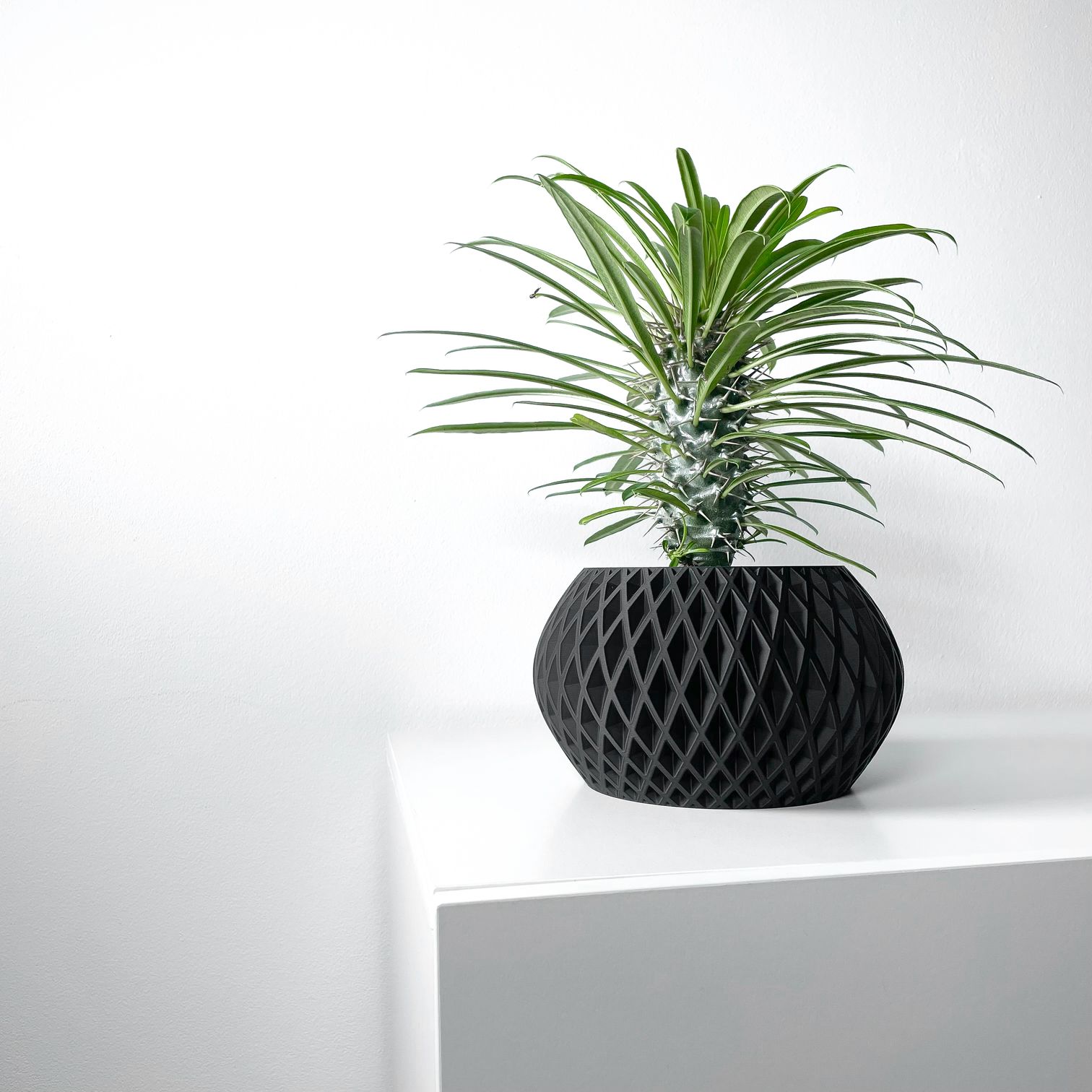 Unikalus Vazonas Gisar – Stilingas ir ekologiškas pasirinkimas jūsų interjerui